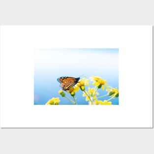 Monarch butterfly resting on yellow daisy against sky background. Posters and Art